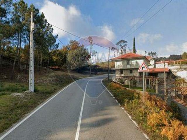 Terrenos Celorico De Basto Braga DLS100020139