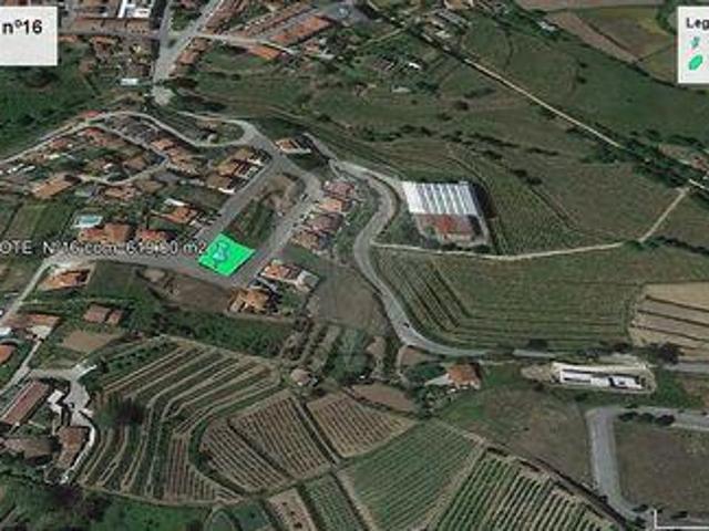 Terrenos Celorico De Basto Braga DLS100020353