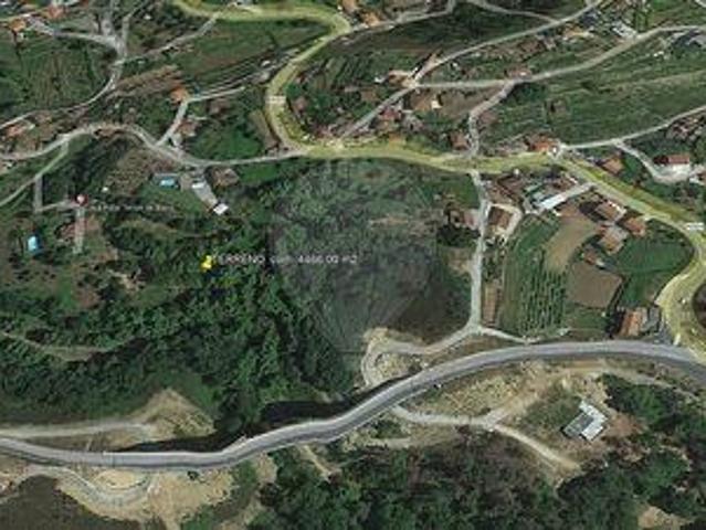 Terrenos Celorico De Basto Braga DLS100020370