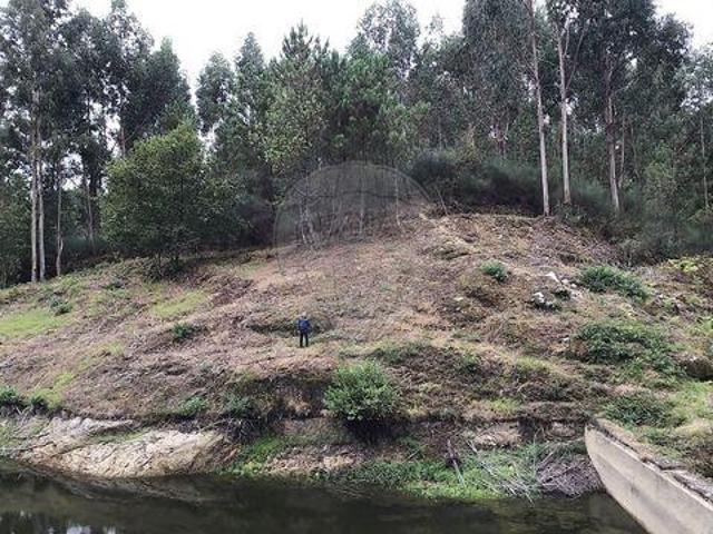 Terrenos Celorico De Basto Braga DLS100020374