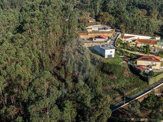 Terrenos Celorico De Basto Braga DLS100021220