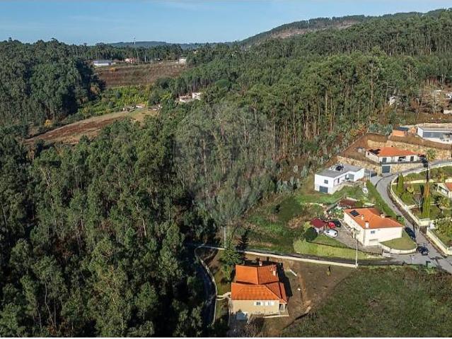 Terrenos Celorico de Basto Celorico de Basto DS102889478