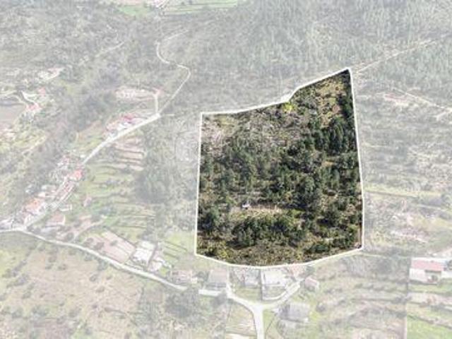 Terrenos Chaves Vila Real DLS100020722