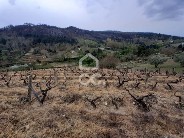 Terrenos Chaves Vila Real DLS66629227