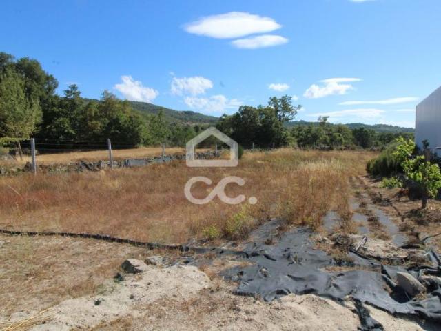 Terrenos Chaves Vila Real DS42686554