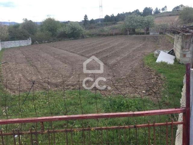 Terrenos Chaves Vila Real DS42686599