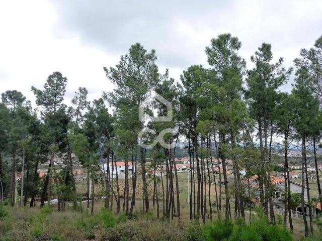 Terrenos Chaves Vila Real DS66629346