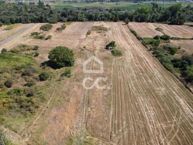 Terrenos Chaves Vila Real DS68064752