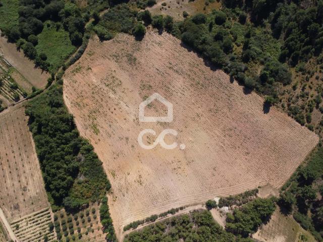 Terrenos Chaves Vila Real DS73815200