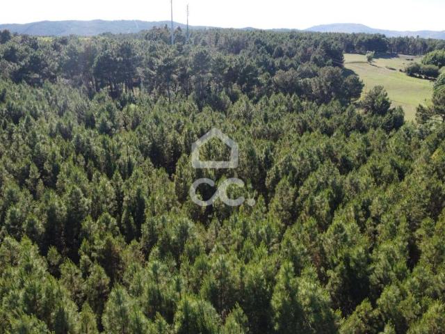 Terrenos Chaves Vila Real DS83184397