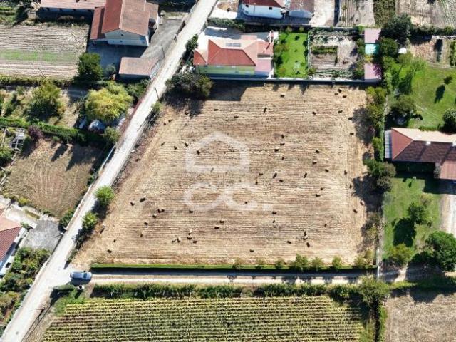 Terrenos Chaves Vila Real DS94934139