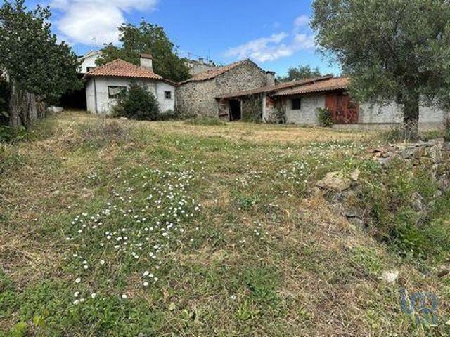 Terrenos Chaves Vila Real DS95040294
