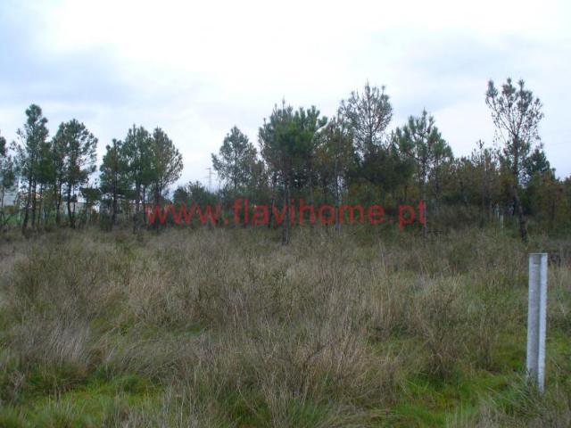 Terrenos Chaves Vila Real 5400 000 DLS89229446