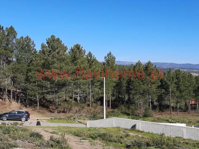 Terrenos Chaves Vila Real 5400 273 DS84930083