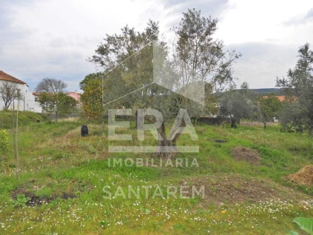 Terrenos Chamusca Chamusca DLS87993263
