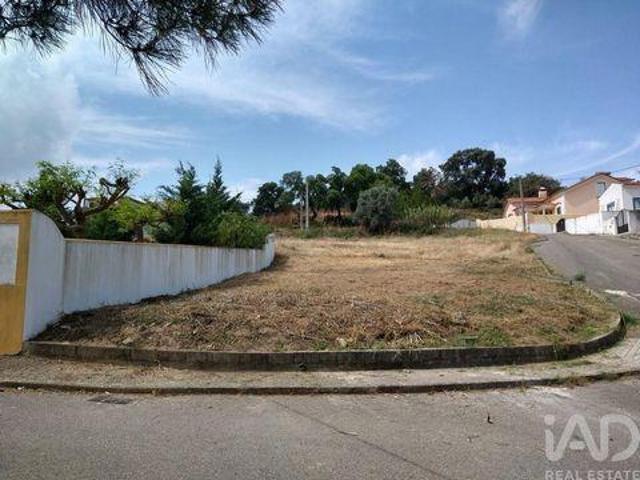 Terrenos Chamusca Santarem DLS88673984