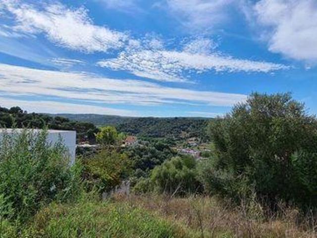 Terrenos Chamusca Santarem DLS94451008