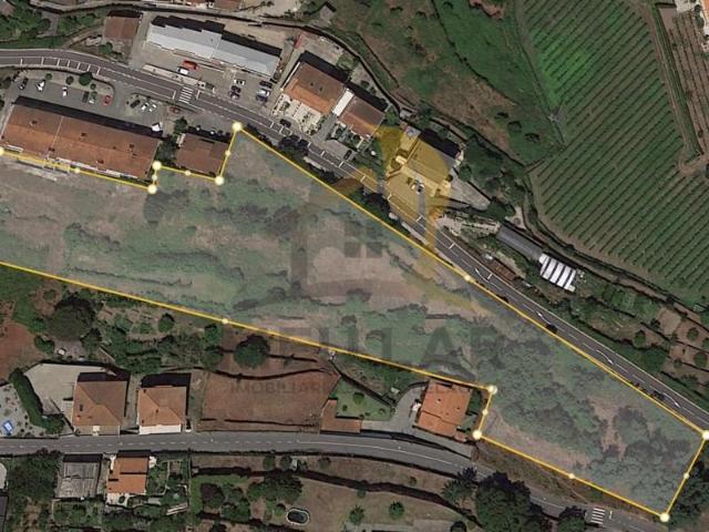 Terrenos Cinfães Cinfães DLS96617873