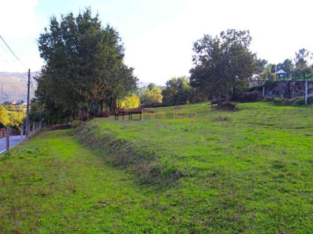 Terrenos Cinfães Cinfães DLS97119442