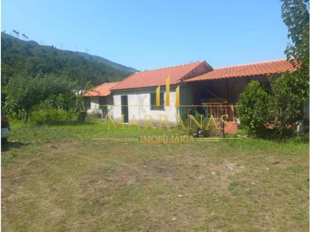 Terrenos Cinfães Cinfães DLS99015440