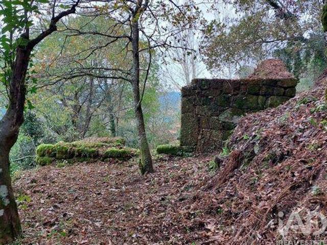 Terrenos Cinfaes Viseu DS96392114