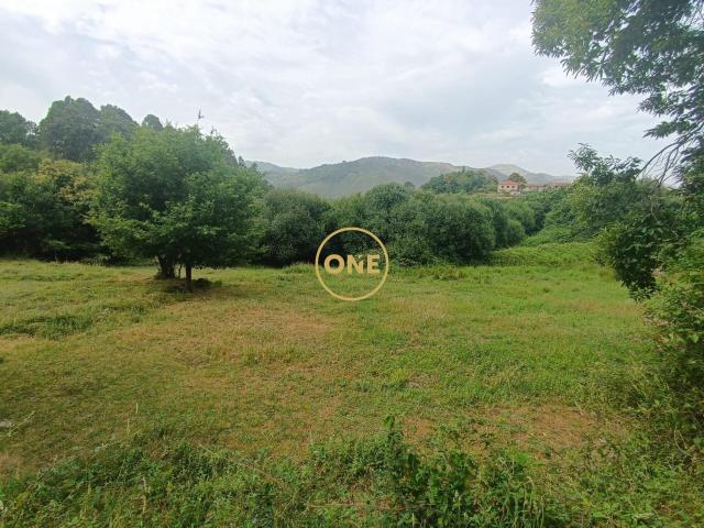 Terrenos com Alma no Gerês: Sua Oportunidade de Possuir um Pedaço em Carvalheira 3650m²