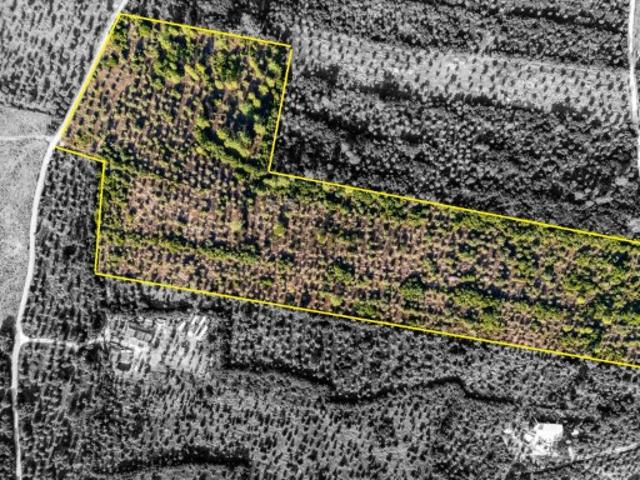 Terrenos com PIP aprovado para turismo em Borba