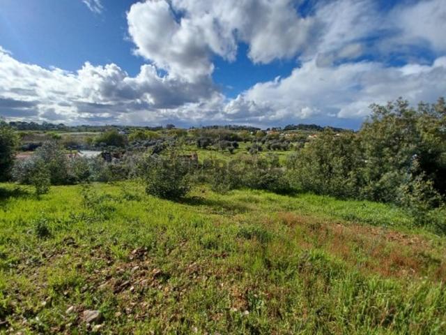 Terrenos com ruínas perto de São Pedro de Tomar