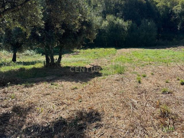 Terrenos com viabilidade construtiva em Pipa Vila Cã, Pombal