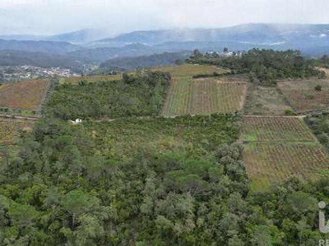 Terrenos Condeixa Coimbra DLS100741717