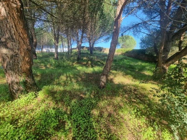Terrenos Constância Constância DLS97121815