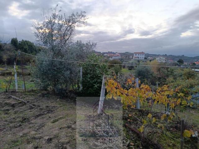 Terrenos Coimbra Oliveira do Hospital 3405 DS98373627