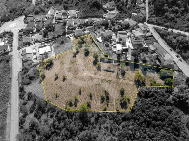 Terrenos Coimbra Coimbra 3040 586 DS95450264