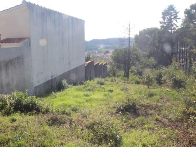 Terrenos Coimbra Coimbra 3040 590 DS100785664