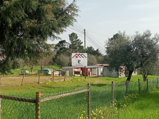 Terrenos Coimbra Coimbra 3025 DS100940725
