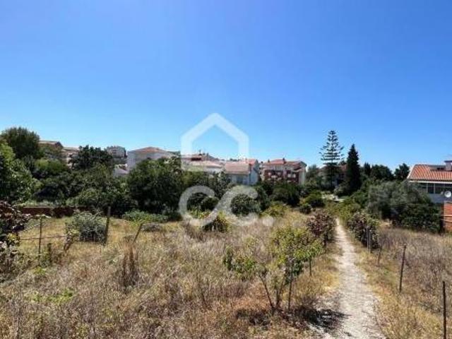Terrenos Coimbra Coimbra DLS66971267