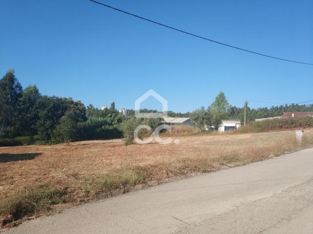 Terrenos Coimbra Coimbra DLS79804591