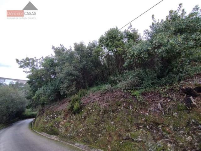 Terrenos Coimbra Coimbra DLS87077138