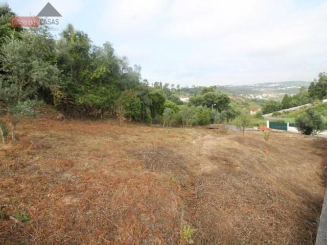 Terrenos Coimbra Coimbra DLS93413918