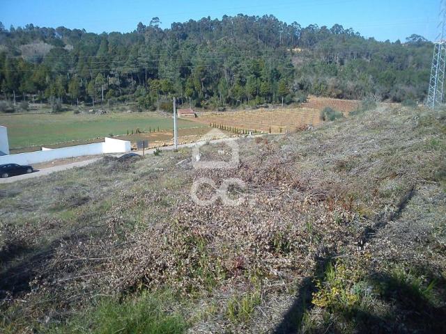 Terrenos Coimbra Coimbra DS54729834