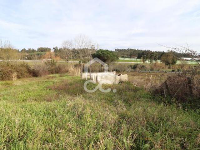 Terrenos Coimbra Coimbra DS60080252
