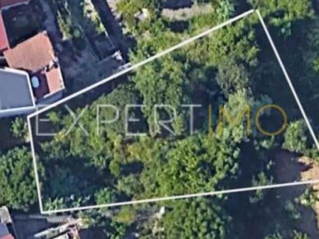 Terrenos Coimbra Coimbra DS91598529