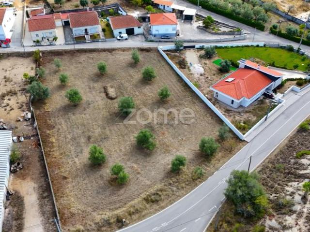Terrenos Coimbra Coimbra DS94521281