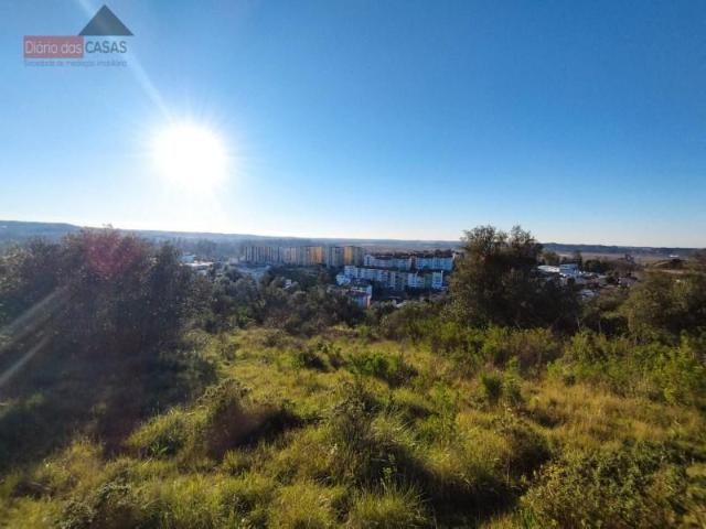 Terrenos Coimbra Coimbra DS96660242