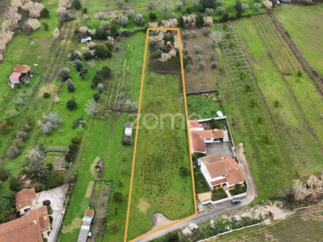 Terrenos Coimbra Coimbra DS98824456