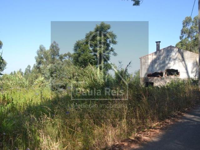 Terrenos Coimbra Coimbra DS100142513
