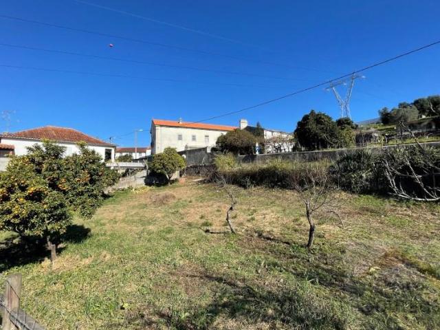 Terrenos Coimbra Coimbra DS101471580