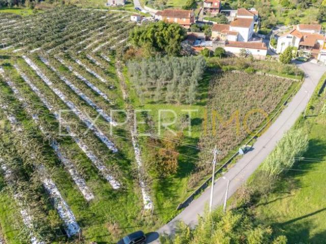 Terrenos Coimbra Coimbra DS101501440