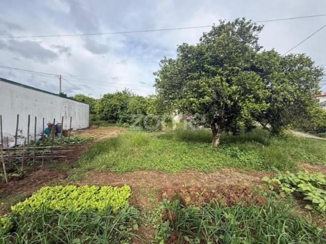 Terrenos Coimbra Coimbra DS102667605