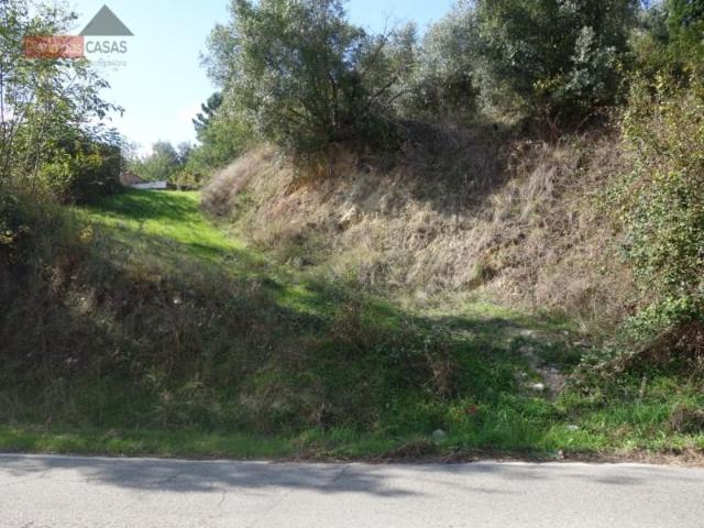 Terrenos Coimbra Coimbra DS102045202